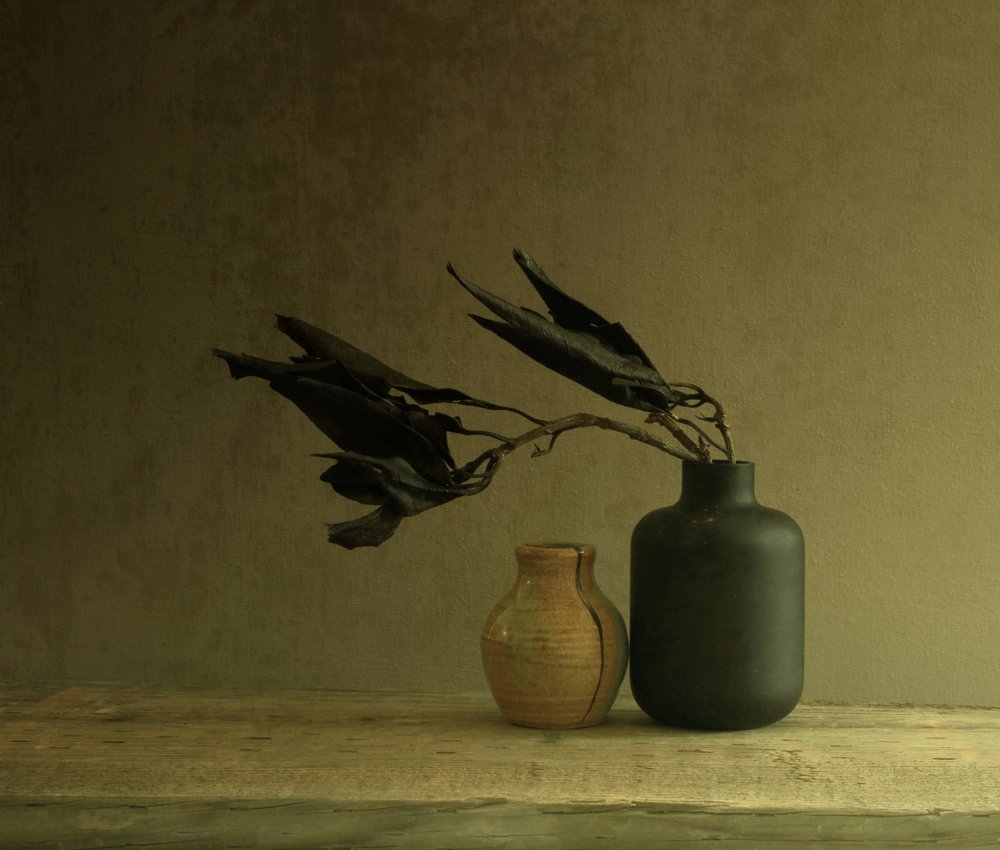 Minimalistisk stilleben med blade af Margaret Halaby