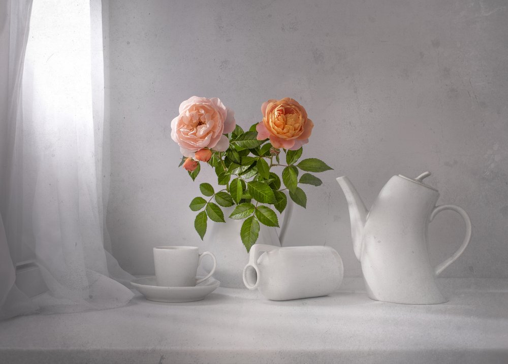 Morgenrose-te af Margareth Perfoncio
