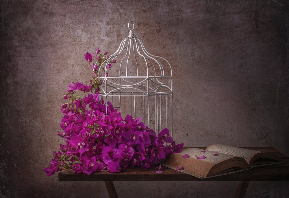 Rustik bougainvillea og bog af Margareth Perfoncio
