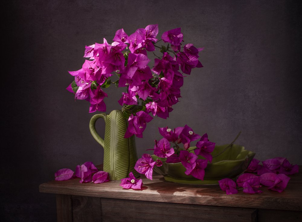 Et livligt stilleben med bougainvillea af Margareth Perfoncio