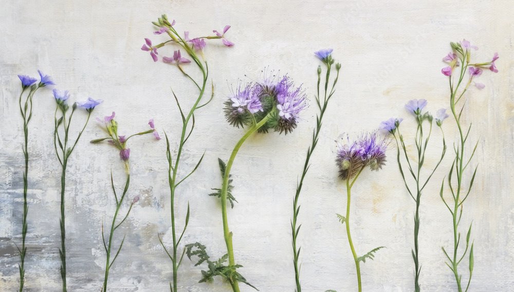 Æteriske vilde blomsterstængler af Marie-anne Stas