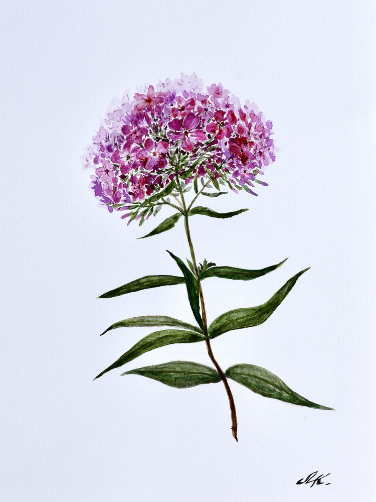 Livlig botanisk blomstring af Marina Kozyr