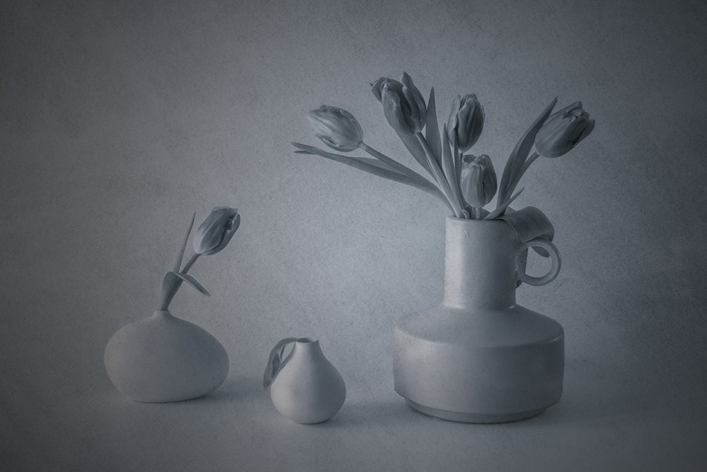 Stemningsfuldt stilleben med tulipaner af May G