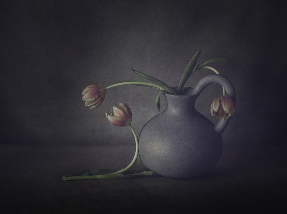 Stilleben med en stemningsfuld tulipan af May G
