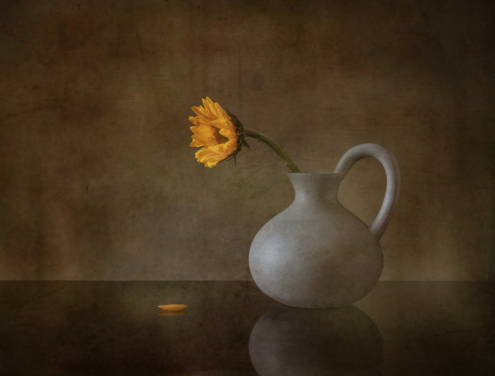 Stemningsfuld gul blomst af May G