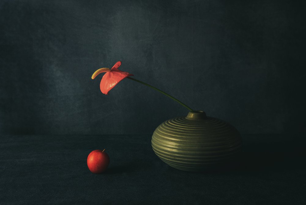 Stilleben med rødt anthurium af May G