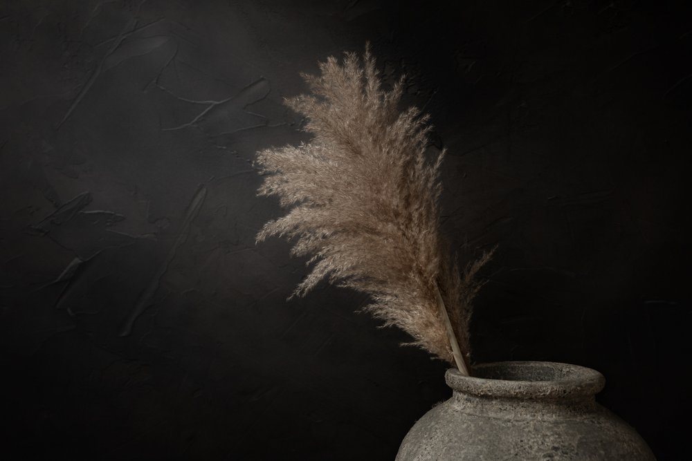 Mørk rustik pampas af Mayra Pama