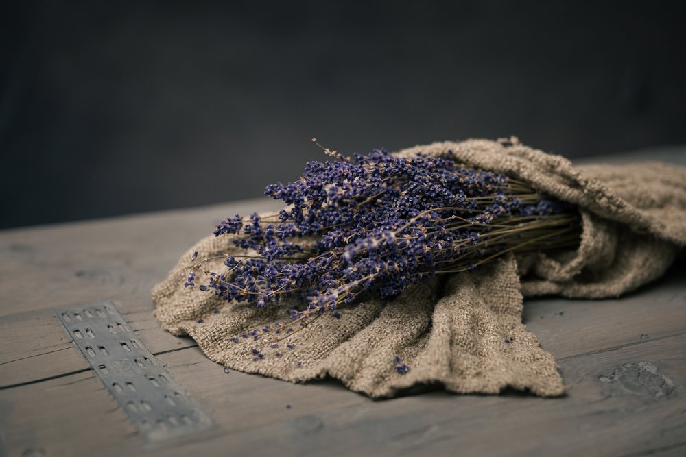 Bundt tørret lavendel af Mayra Pama