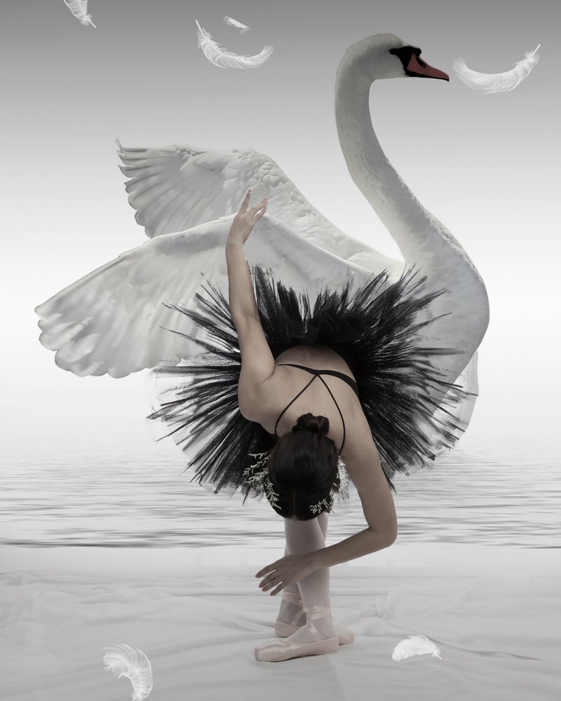 Black Swan-ballerina af Mieke
