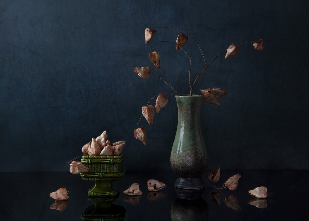 Mørkt botanisk stilleben af Ming Chen