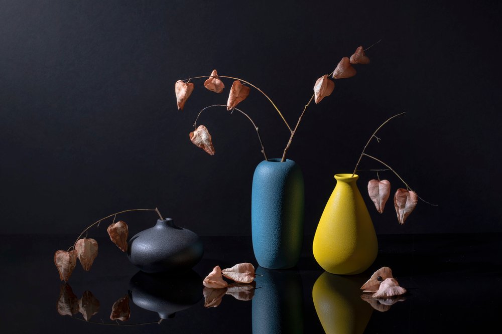 Moderne botaniske vaser af Ming Chen
