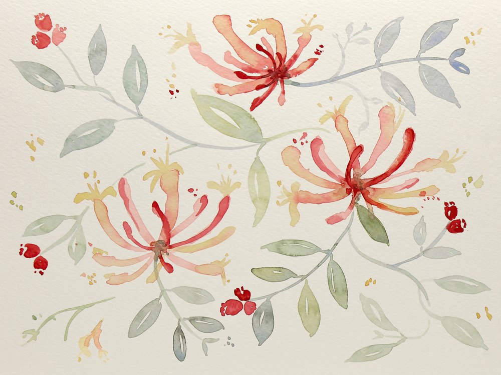 Delikate botaniske motiver i akvarel af Natalie Bruns