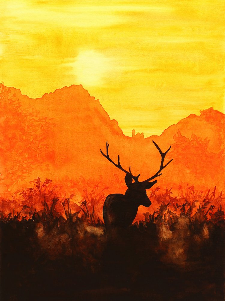 Silhuet af en hjort ved solnedgang af Natalie Bruns