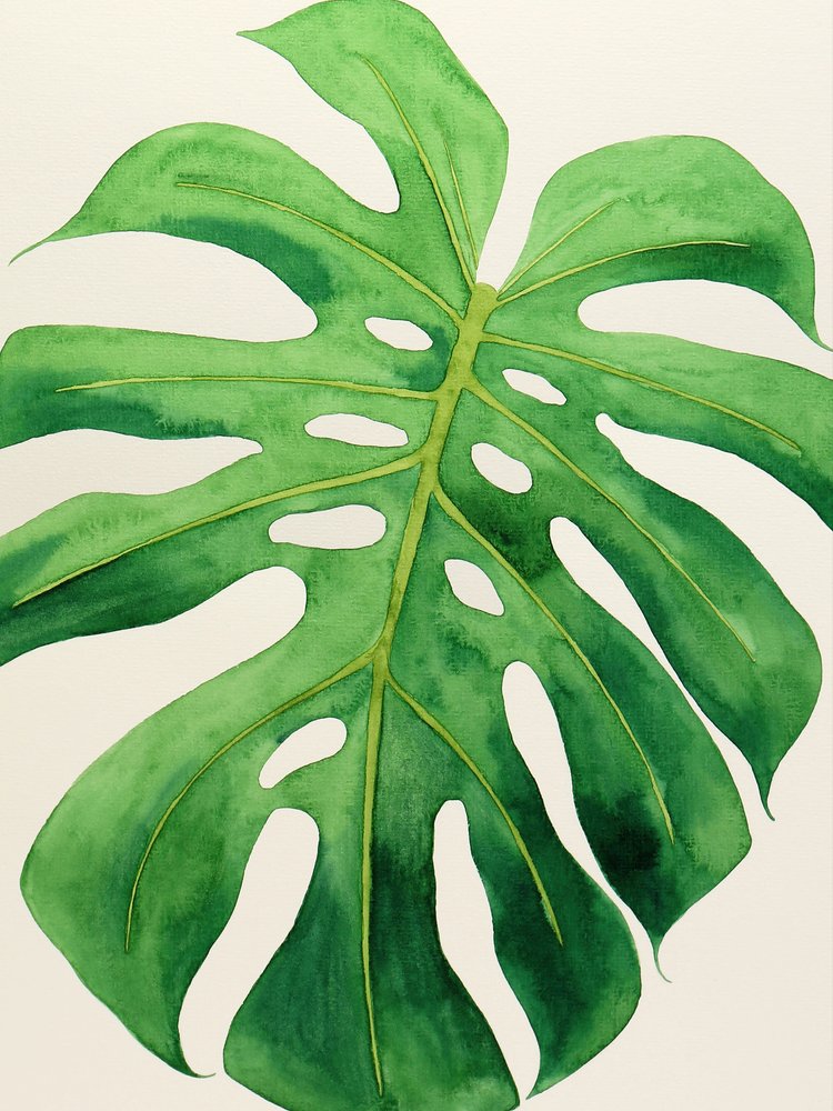 Tropisk Monstera-blad af Natalie Bruns