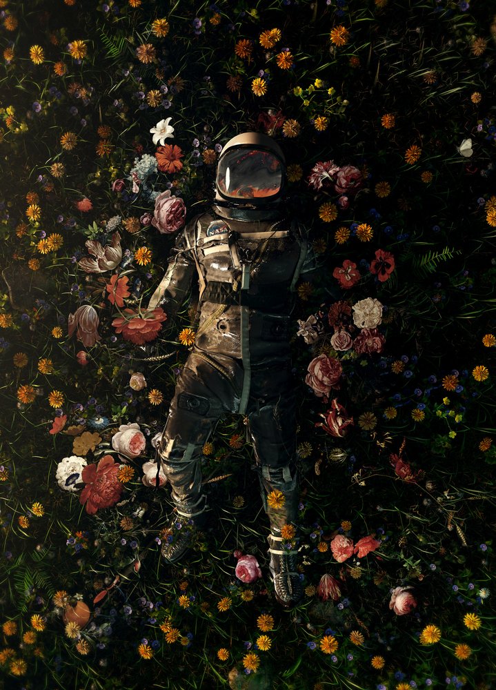 Kosmisk blomsterdrøm af Nicebleed