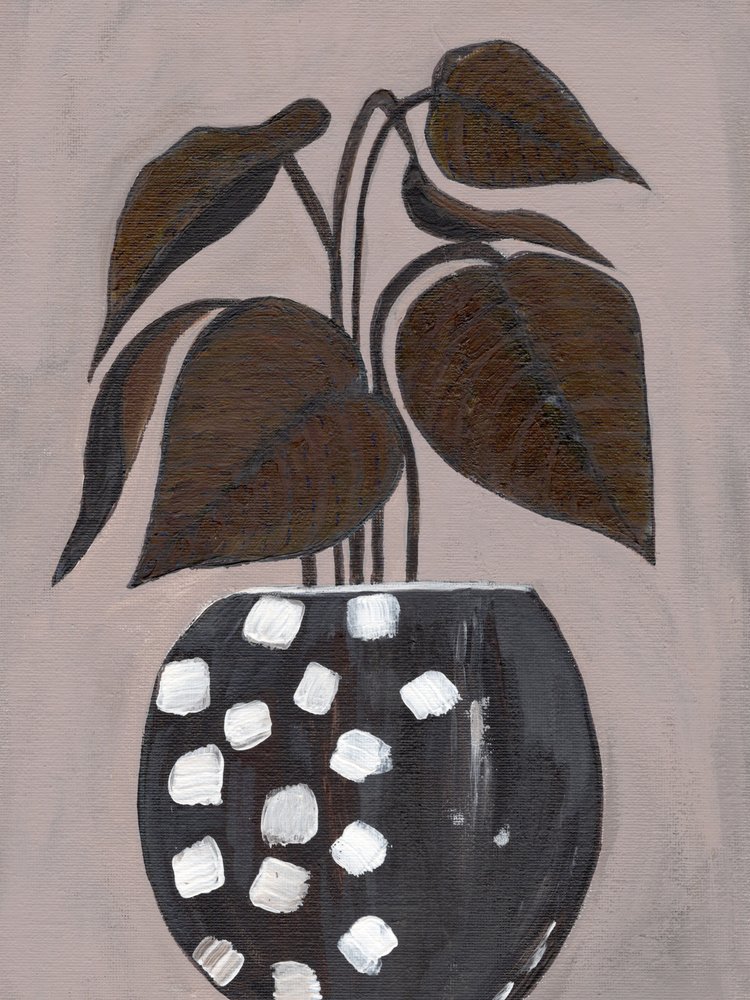 Polka Dot-stueplante af Nikita Jariwala
