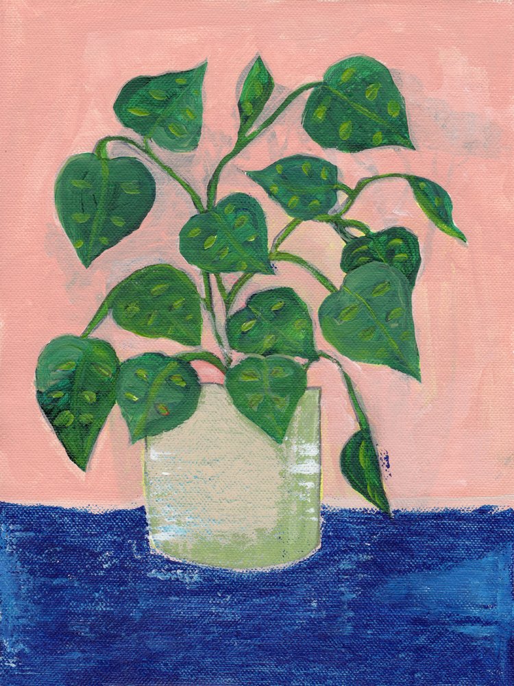 Farverig potteplante af Nikita Jariwala