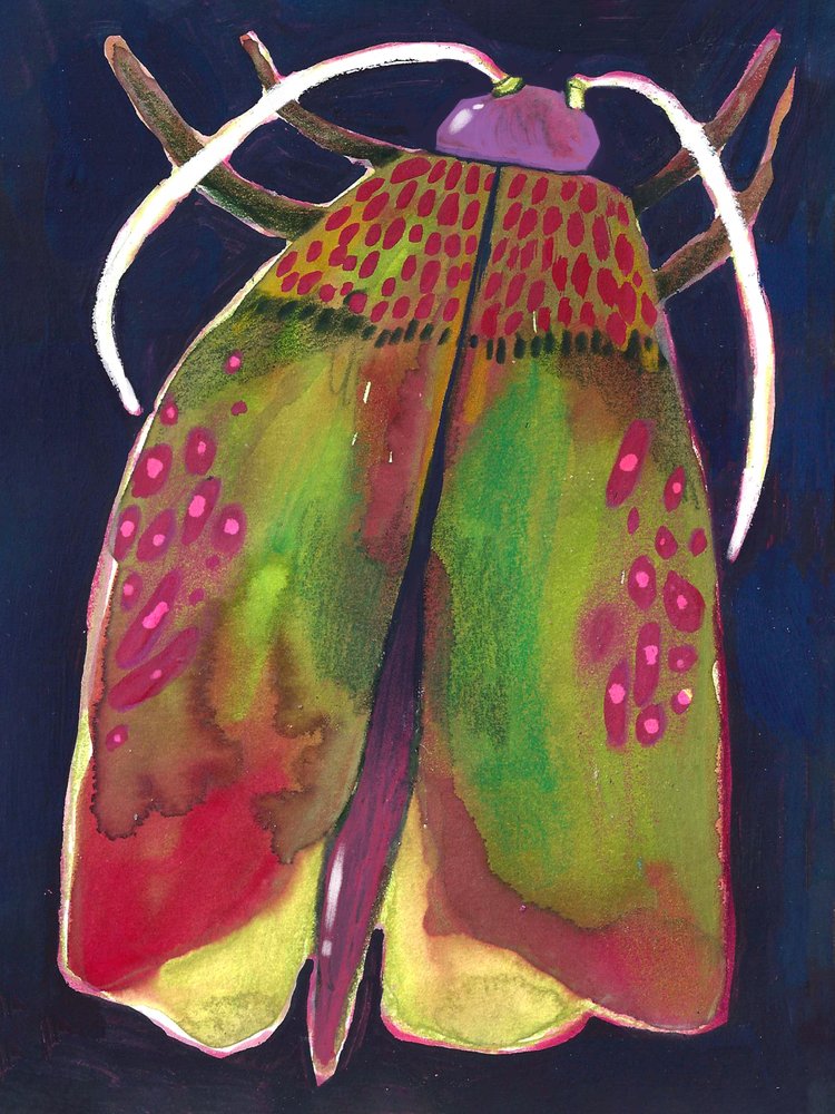 Møl af Olga Skomorokhova