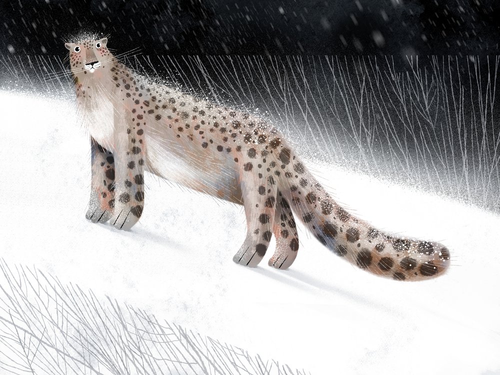 Sne-leopardens vinternat af Olga Skomorokhova