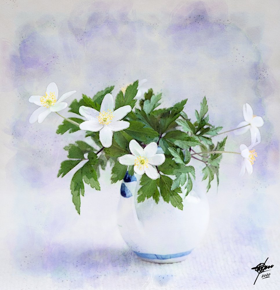 Delikate hvide forårsblomster af Osvaldo Russo