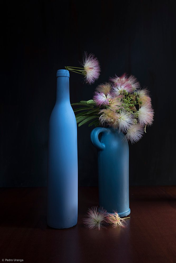 Botaniske blå og lyserøde nuancer af Pedro Uranga