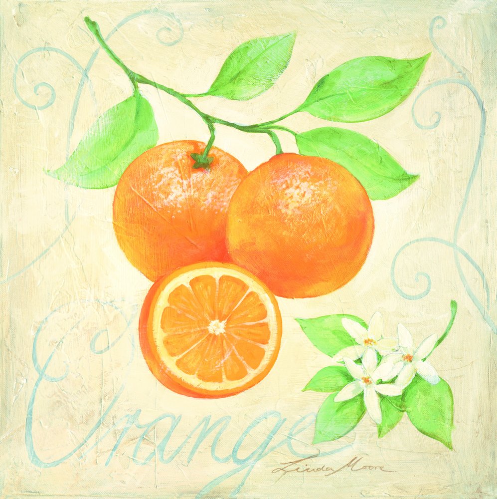 Friske appelsiner og blomster af Renate Holzner