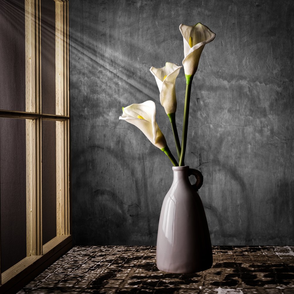Calla-liljer i sollys af Rob Ryan