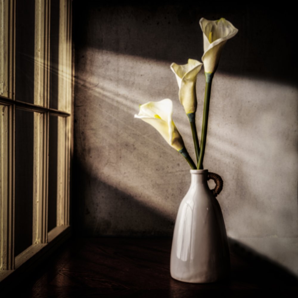 Calla-liljer i vinduet af Rob Ryan