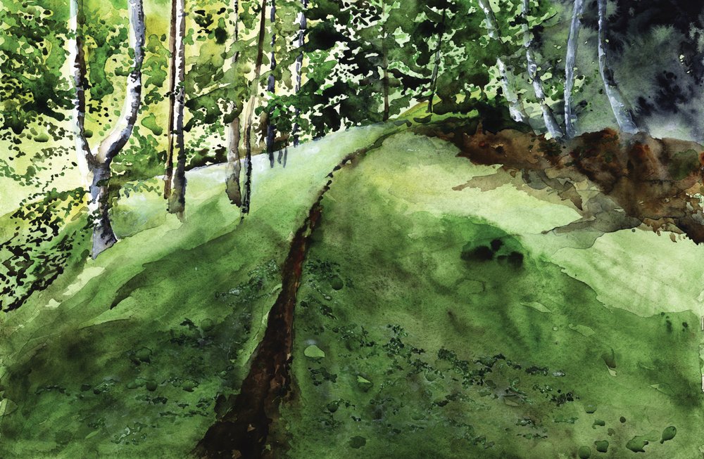 Den frodige skovsti af RodMacIver