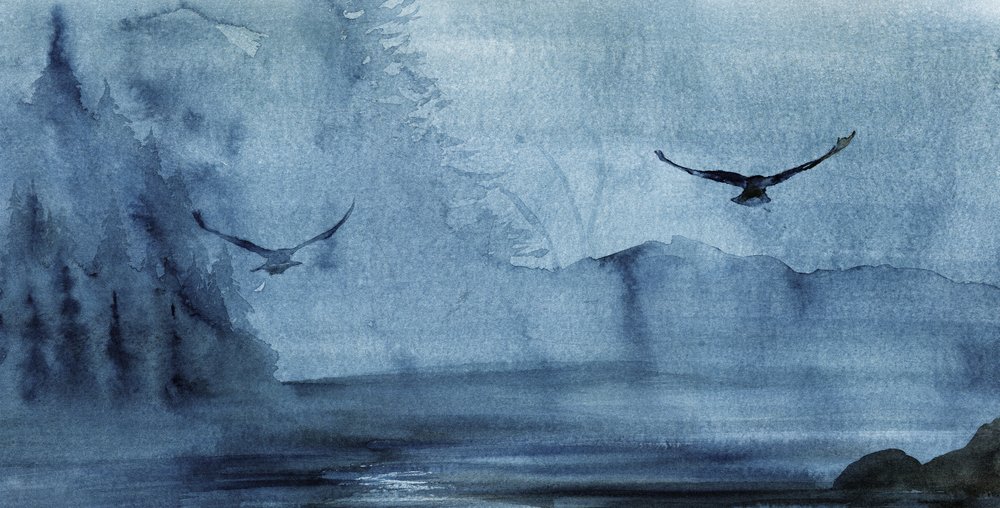 Flyvning over Misty Lake af RodMacIver