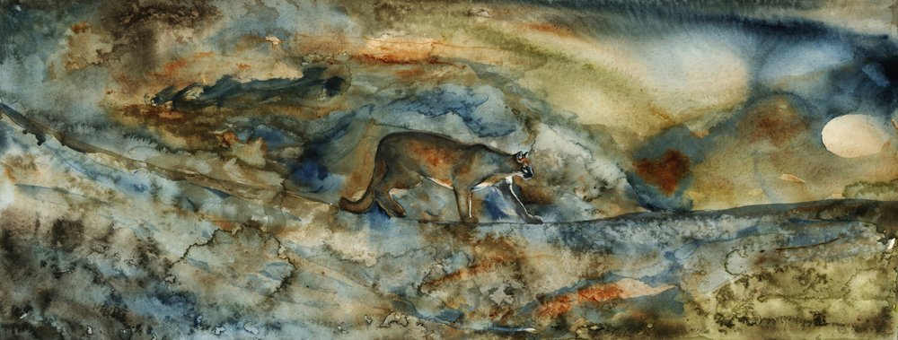 Mountain Lion-passet af RodMacIver