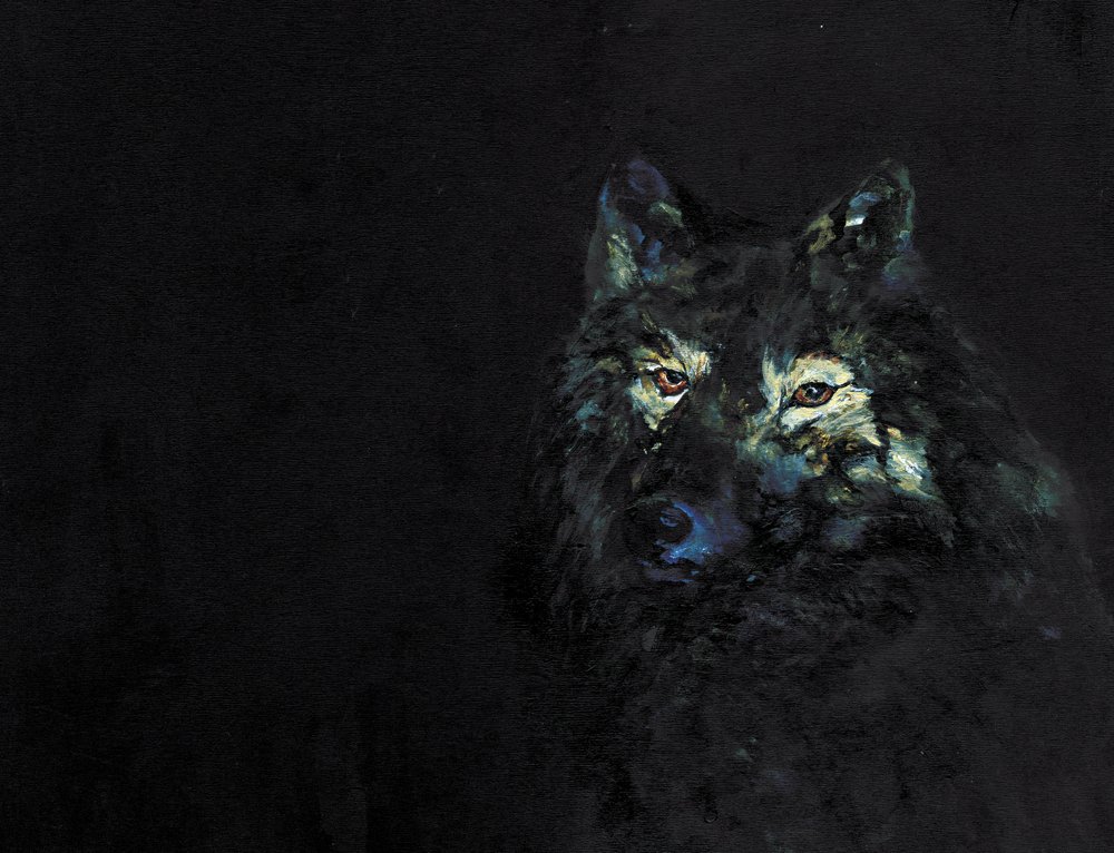 Den mystiske sorte ulv af RodMacIver
