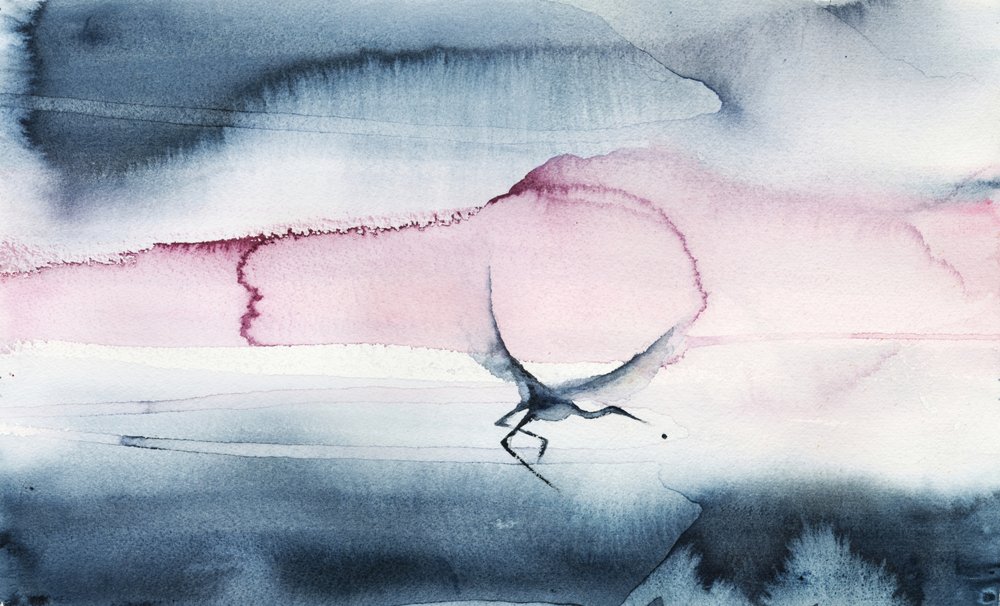 Pink Sky Bird-flyvning af RodMacIver