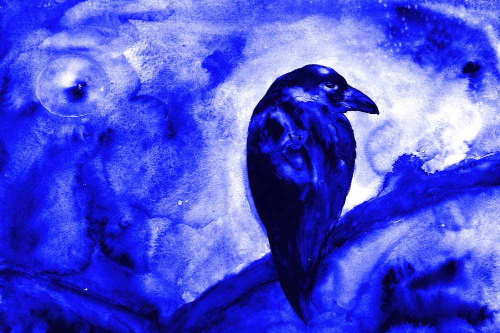 Raven i måneskin af RodMacIver