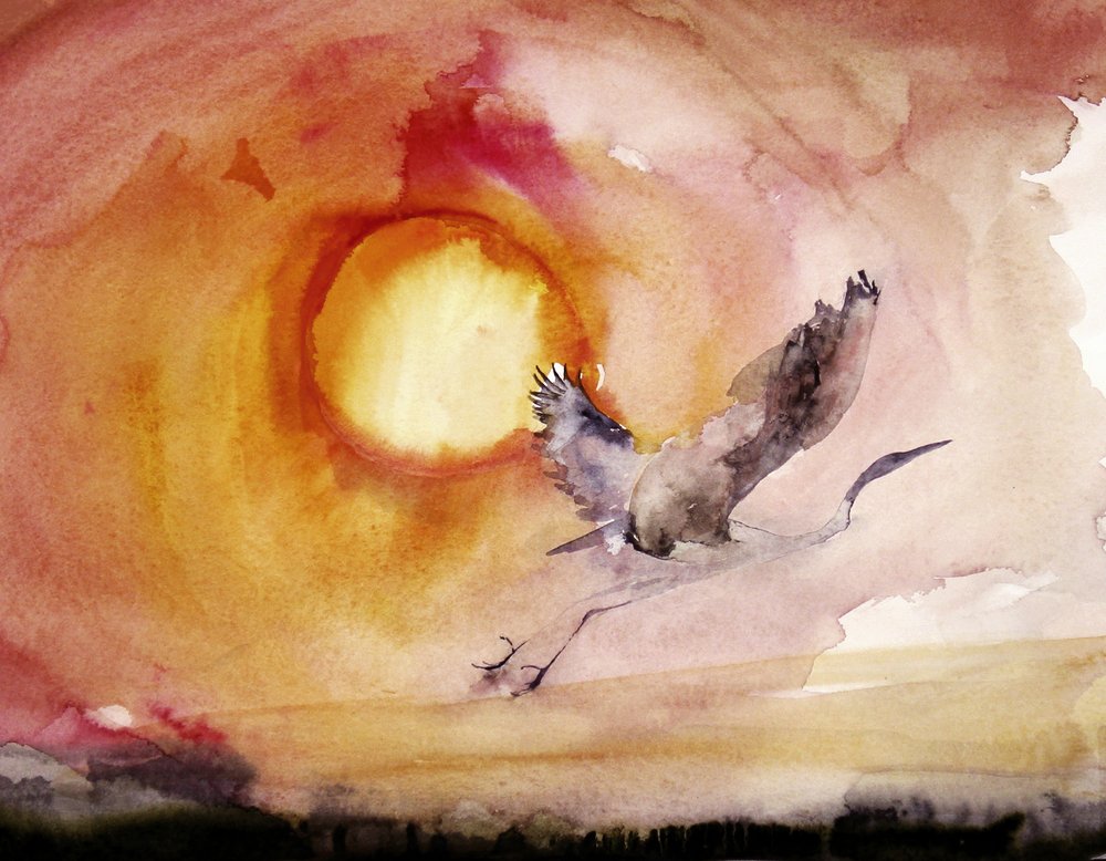Farverig fugl ved solnedgang af RodMacIver