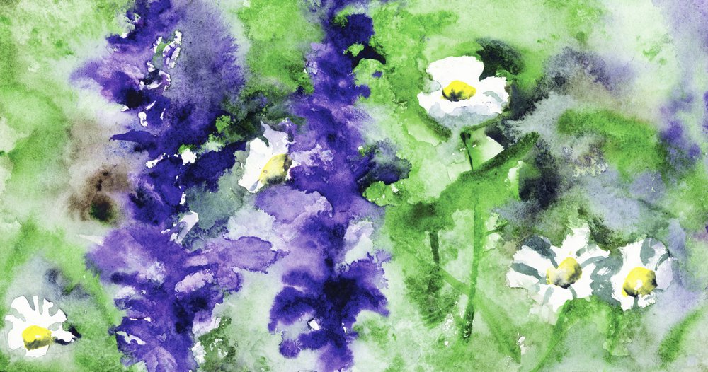 Farvestrålende haveblomster af RodMacIver