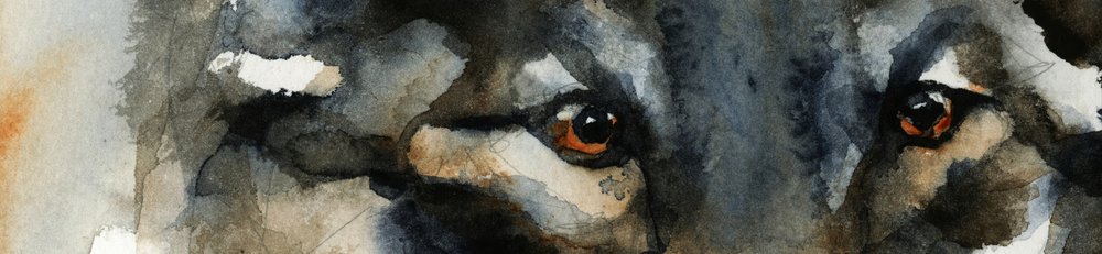 Vilde ulveøjne af RodMacIver