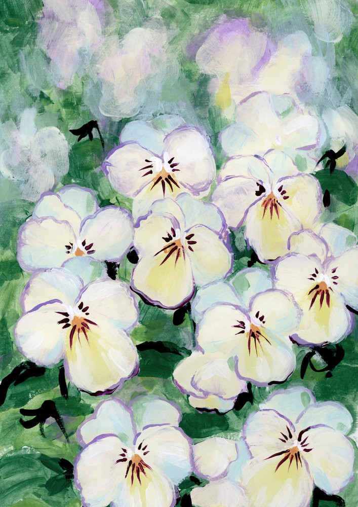 Delikate stedmoderblomster af Rosana Laiz Blursbyai