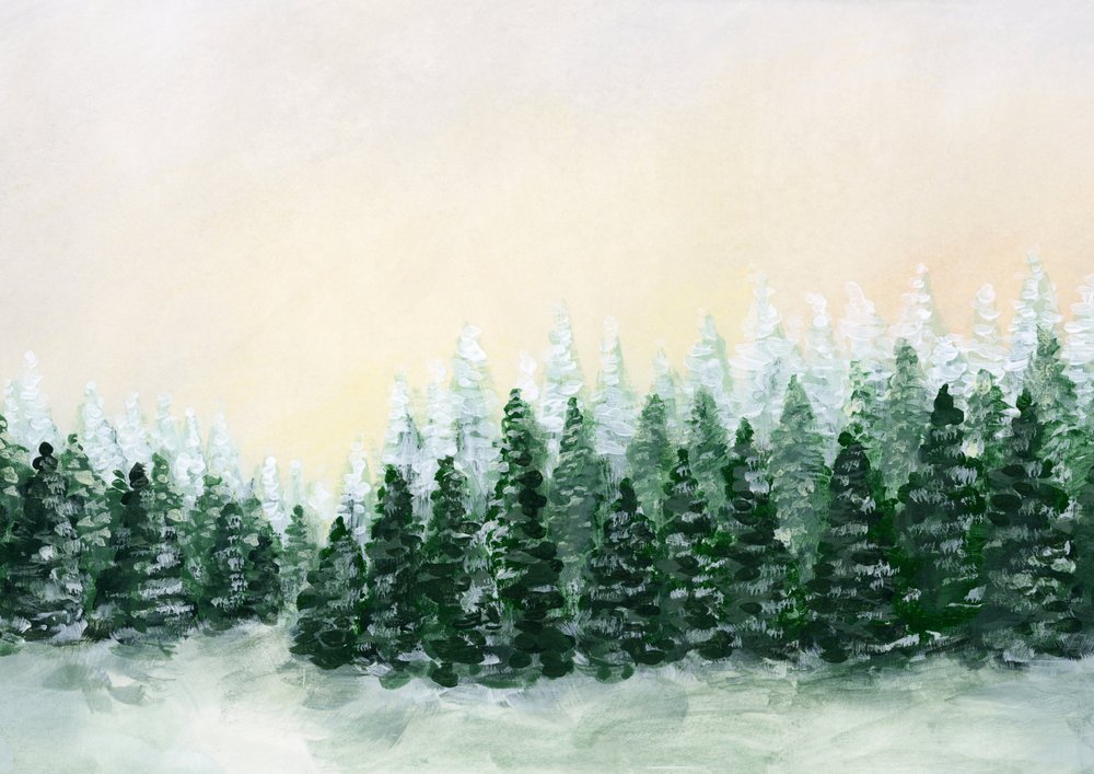 Den frostbelagte vinterskov af Rosana Laiz Blursbyai