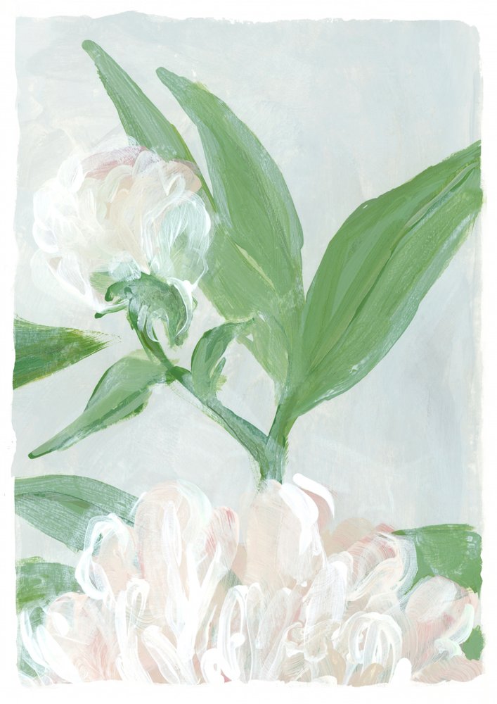 Bløde pæonblomster af Rosana Laiz Blursbyai