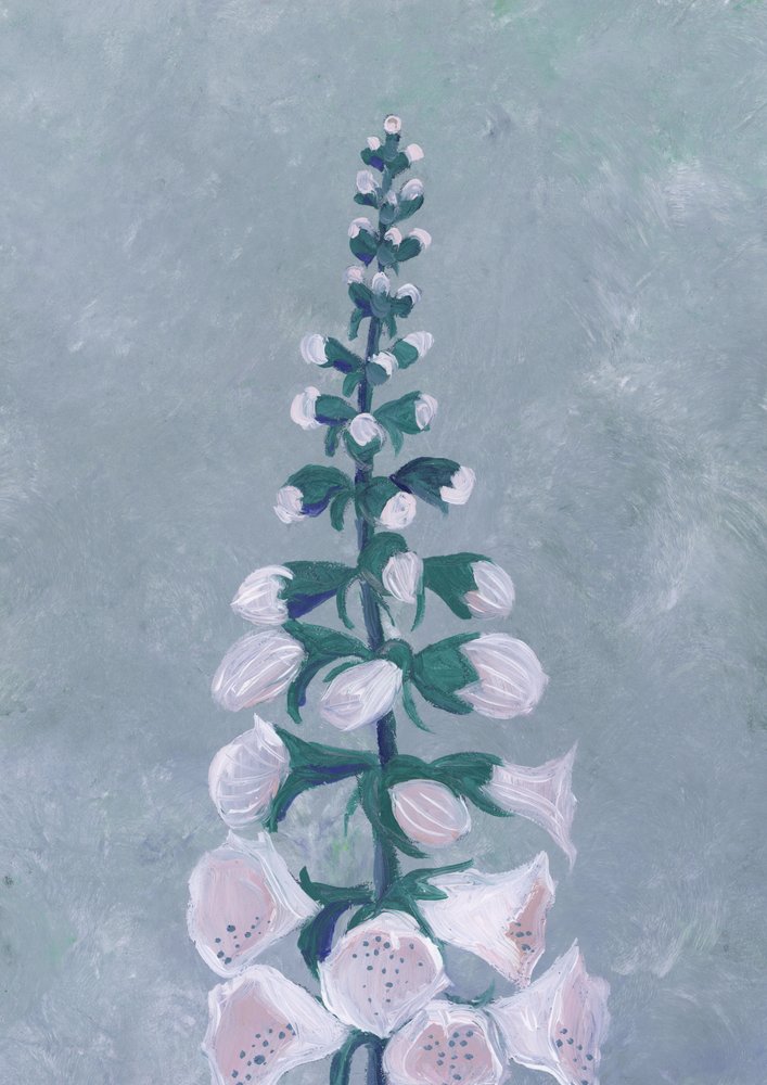Blomst af hvid fingerbøl af Rosana Laiz Blursbyai