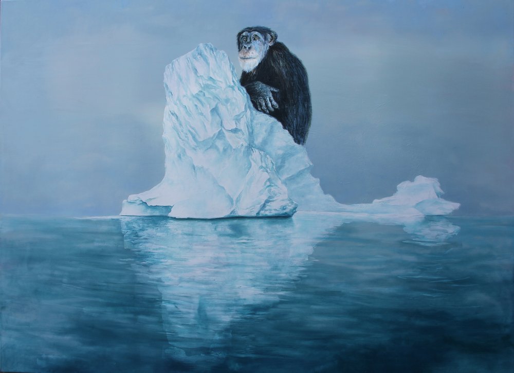 Chimpanse på et isbjerg af Rudolf Kosow