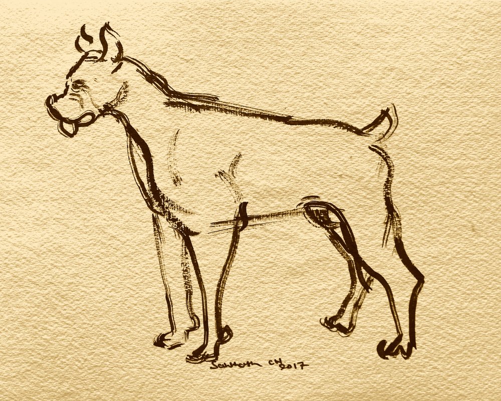 Skitse af en bokserhund af Santhosh ch