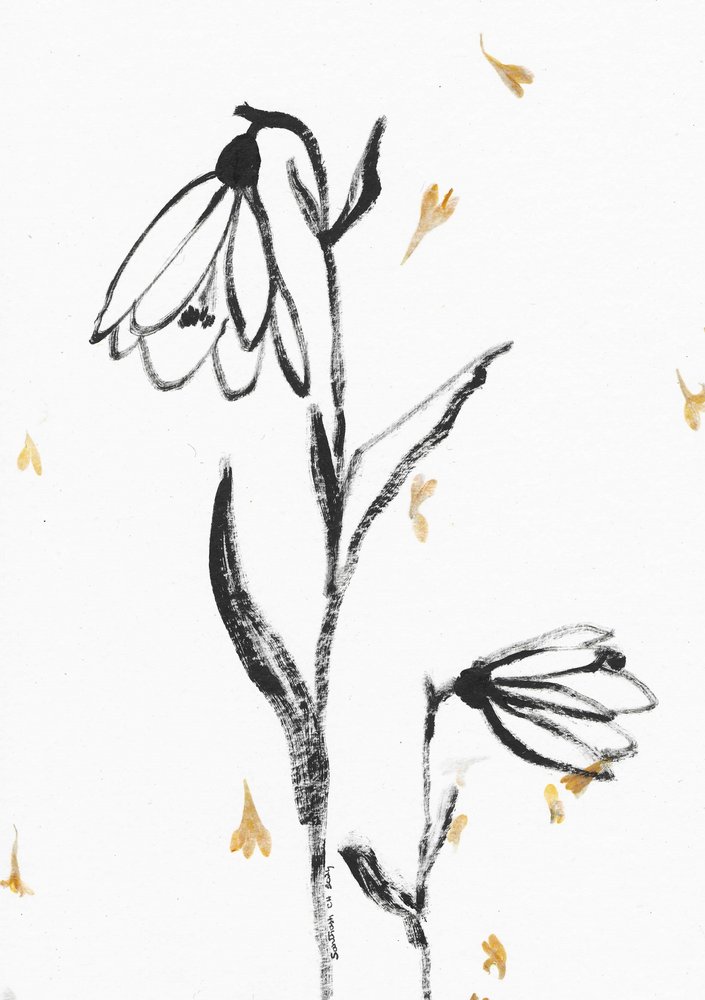 Sart blomsterskitse af Santhosh ch