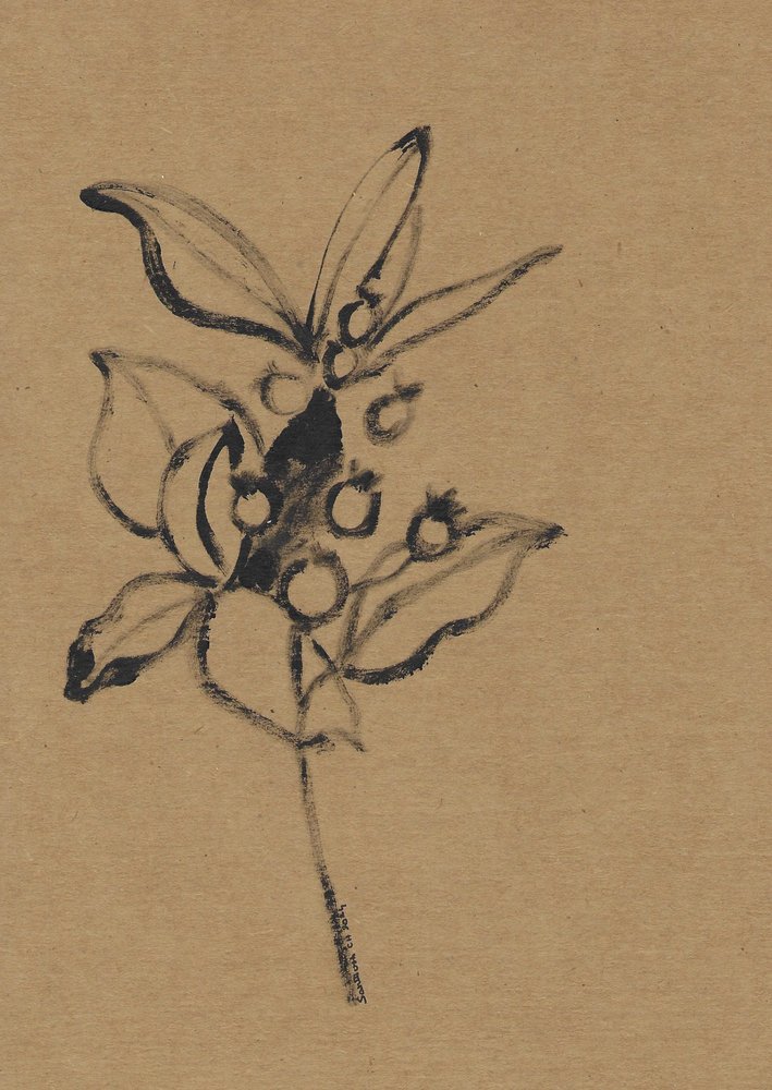 Botanisk illustration i jordfarver af Santhosh ch