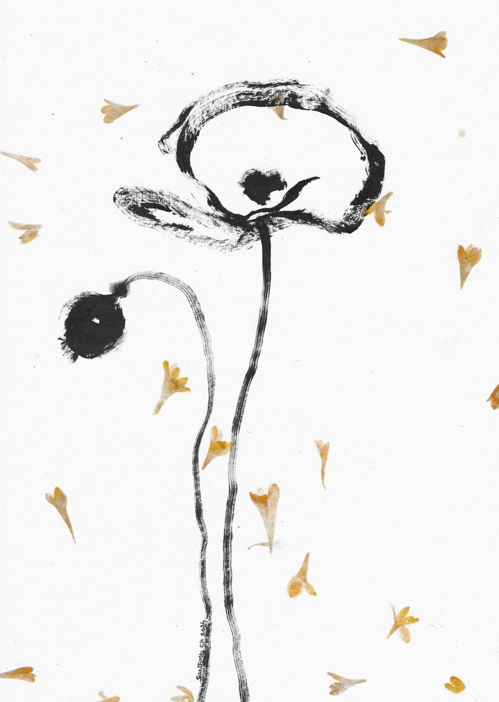 Elegante sorte valmuer af Santhosh ch