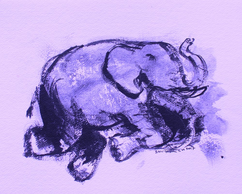 Elefant 42 af Santhosh ch