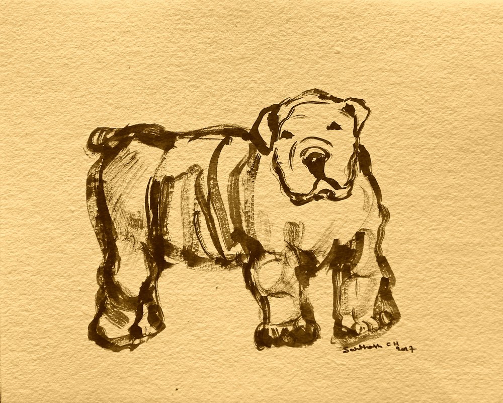 Udtryksfuld bulldogskitse af Santhosh ch