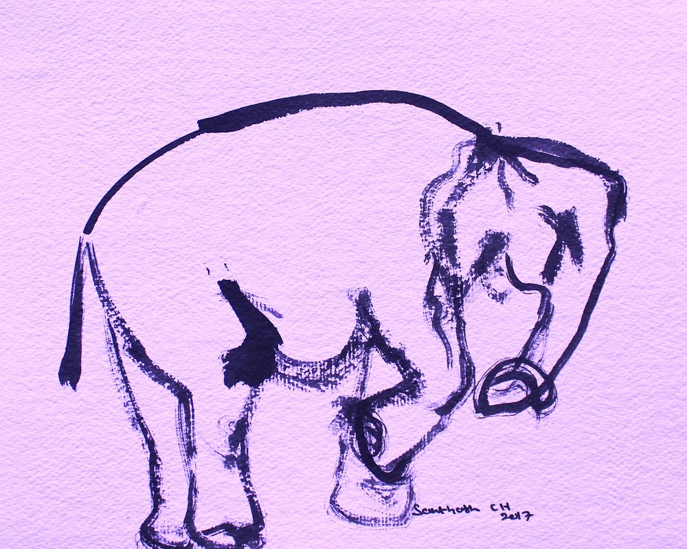 Blid elefant i blæk af Santhosh ch