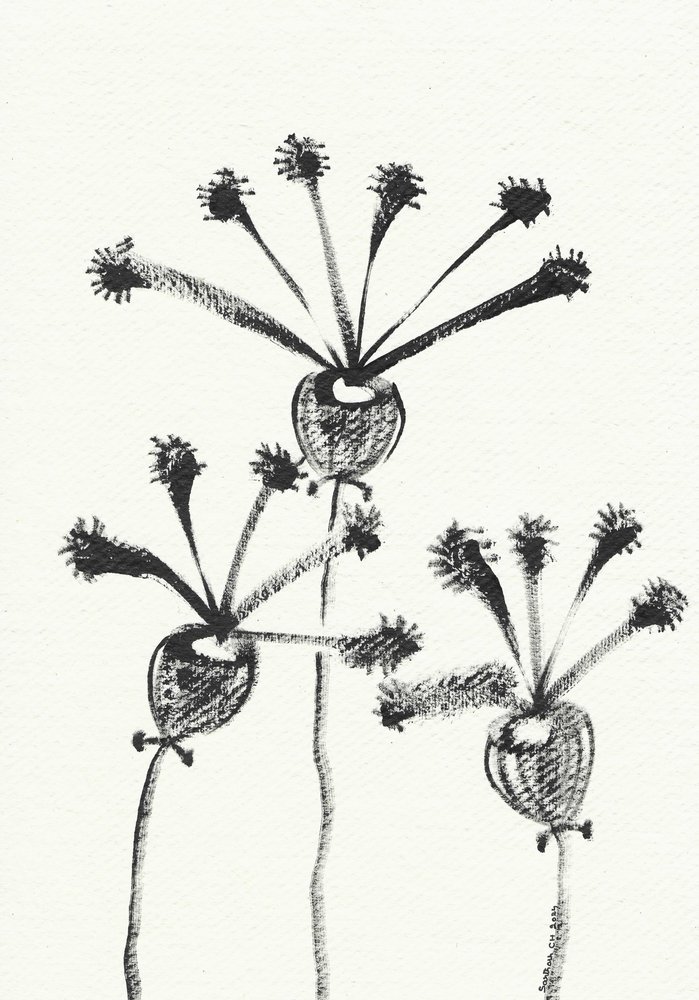 Minimalistisk botanisk tegning af Santhosh ch